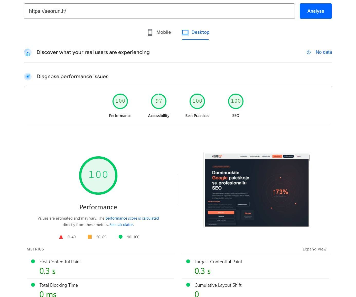 seorun.lt PageSpeed Insights rezultatai — desktop 100/100