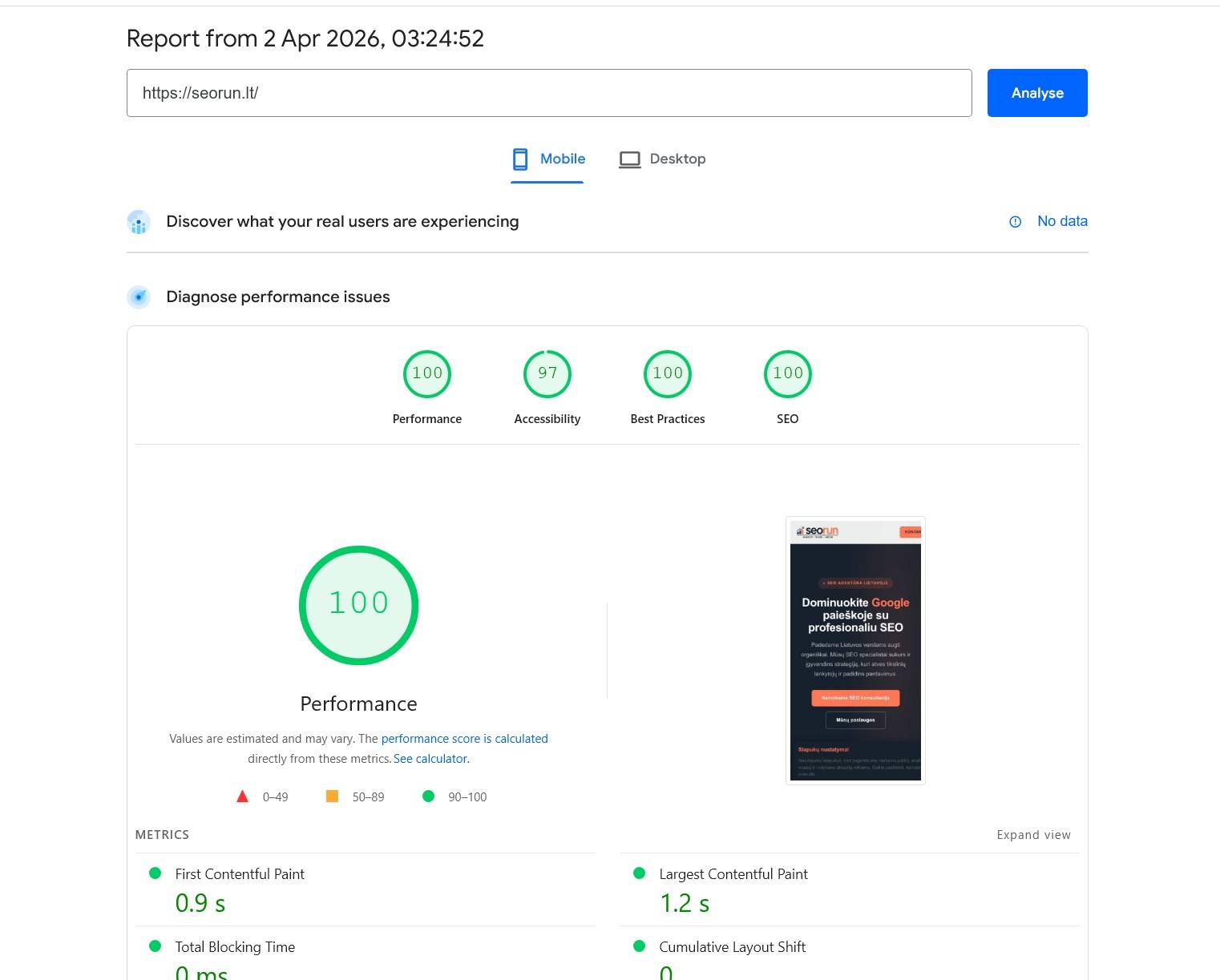 seorun.lt PageSpeed Insights rezultatai — mobile 100/100